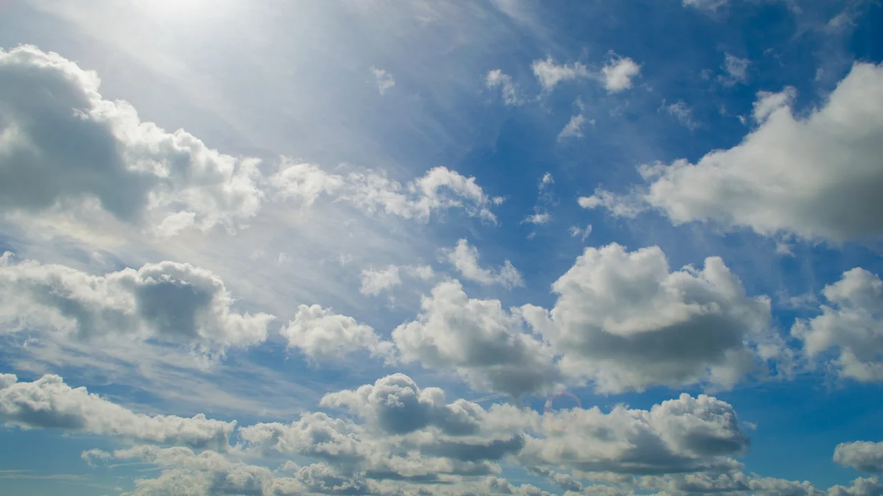 pork chops with cream sauce