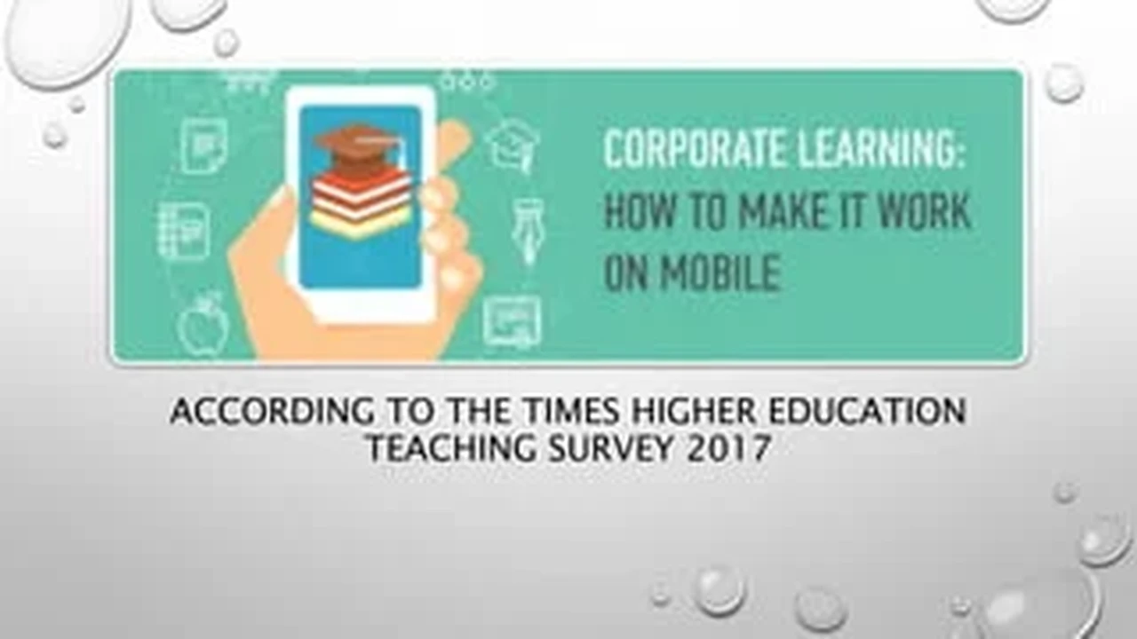 pork chops with cream sauce