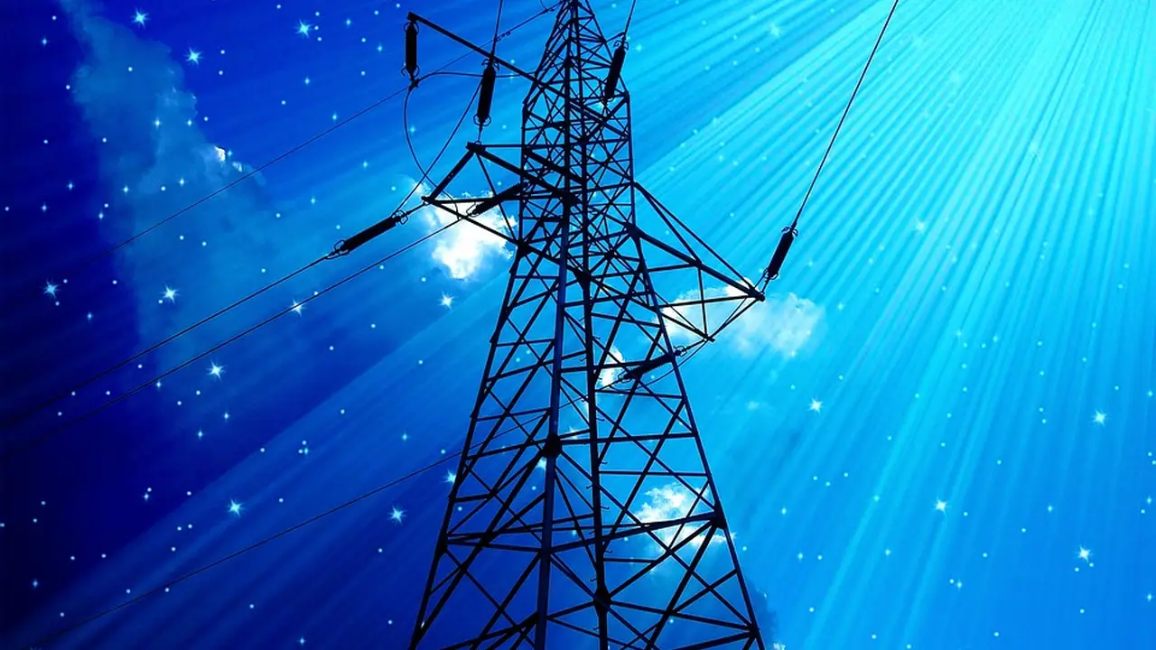 Easy, Two-Ingredient Pulled Pork